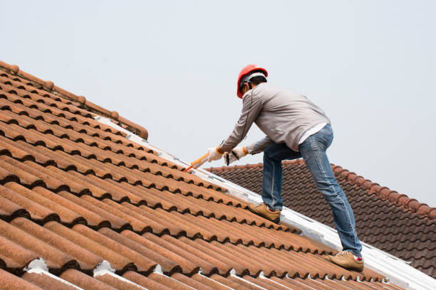 Best Roof Installation  in Roselle, NJ